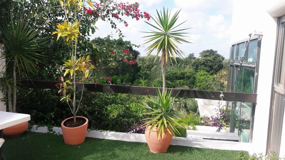 Casa La Selva Lägenhet Cancún Exteriör bild